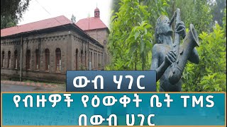 Ethiopia   ኢሳት WEB HAGER ፒያሳም እንዲህ ሆነዋል  ውብ ሀገር በከተማ ሽርሽር 31 August 2024 [upl. by Enitsenre124]