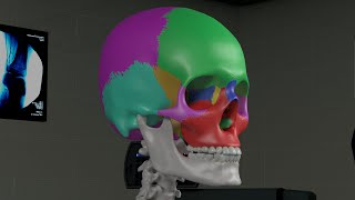 Chapter 1 Basic Sinus Anatomy [upl. by Atikram]