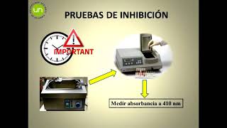 Práctica inhibidores de tripsinaLaboratorio de Bioquímica [upl. by Ynaitirb]