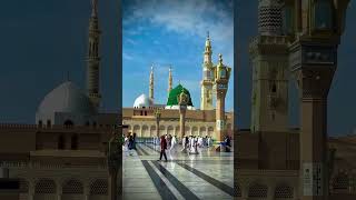 Rakh Lena Bhram Mera lovewithprophetﷺ naat quranurdu islamicshort trending viralvideo [upl. by Harland]