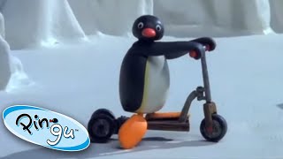 Pingu and the New Scooter Pingu Official 1 Hour Cartoons for Kids [upl. by Widera]