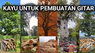 JENIS JENIS KAYU YANG DIPAKAI UNTUK PEMBUATAN GITAR [upl. by Punke59]