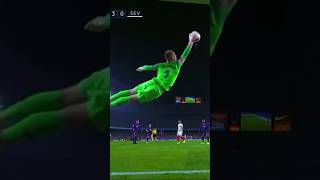 Keepers and their Best Saves [upl. by Arahsat]