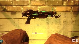 Black Ops 2 Ray Gun Mark 2 EVERY TIME GLITCH [upl. by Chadabe190]