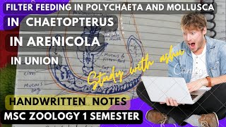 Filter feeding structure and method in polychaeta and mollusca for MSc zoology 1st semester notes [upl. by Kress920]