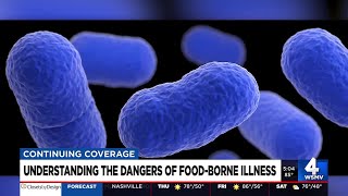 Why listeria outbreaks may appear to be more frequent [upl. by Akeihsal72]