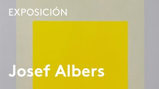 Josef Albers medios mínimos efecto máximo [upl. by Suvart]