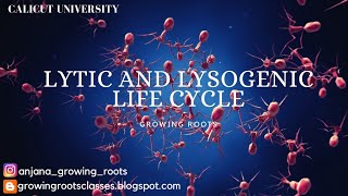 Lytic Cycle amp Lysogenic Cycle  Malayalam Explanation  Bacteriophage Life Cycle  BSc Botany [upl. by Nichola]