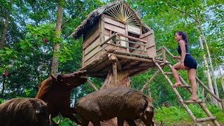 365 days of survival in the rainforest How the girl made shelter and found food [upl. by Noirret]