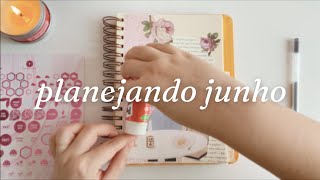 Planejando Junho no Planner 💕 [upl. by Roee447]