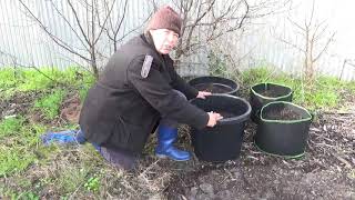 Potato Growing Experiment  Ground vs Plastic pots vs Grow bags [upl. by Ardelia709]