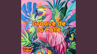 Groove De La Calle [upl. by Howard]