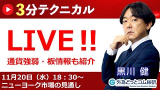 見通しズバリ！3分テクニカル分析「ライブ‼」 NY市場の見通し 2024年11月20日 [upl. by Arvind817]