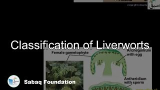 Classification Liverworts Biology Lecture  Sabaqpk [upl. by Ardnua]