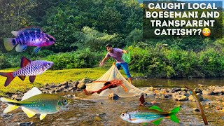 Local BoesemaniTransparent Catfish in river😳😜  Fishing in Blue Water River 💙💙 [upl. by Gauthier]