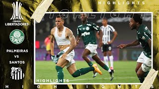 Palmeiras vs Santos  LIBERTADORES FINAL HIGHLIGHTS  1302021  beIN SPORTS USA [upl. by Eerrehc]