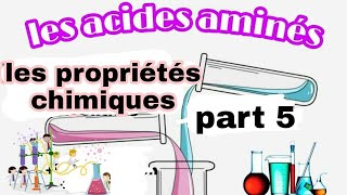 les acides aminés  les propriétés chimiques part 4 [upl. by Noskcaj]