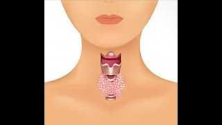 The Thyroid Why we use Frankincense [upl. by Redvers]