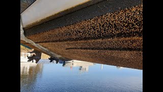 How to remove barnacles from your boat [upl. by Seyler]