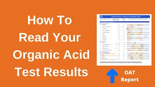 Organic Acids Test Interpretation With Treatment Suggestions [upl. by Gherlein]