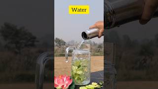 DIY Detox Water for Clear Skin amp Energy DetoxWater HealthyDrink WeightLoss NaturalDetox [upl. by Stempien]