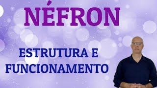 Néfron Estrutura e funcionamento [upl. by Enyak]