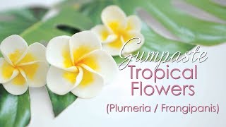 Gumpaste Plumeria  Frangipanis Tropical Flower Tutorial [upl. by Adriene]