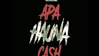 Resilliace Gze  Apa Hauna Cash Official Audio [upl. by Sullecram]