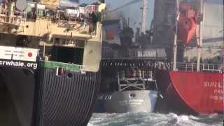 Bob Barker gets sandwiched and rammed between poacher Nisshin Maru and fuel tanker Sun Laurel [upl. by Innig]