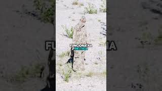 Soldado Camuflado em Ação shorts youtube youtubeshorts [upl. by Dlaregztif690]