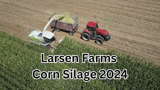 Chopping Corn Silage at Larsen Farms 2024 farming [upl. by Cartwell]