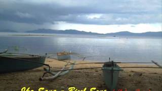 Bicol Song  Ika Sana Sung byRenato Balderama [upl. by Leunamme263]