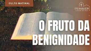 O FRUTO DA BENIGNIDADE  Rev Elizeu Eduardo  live [upl. by Otsedom]