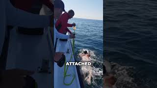 How a Swimmer Eats During a Marathon andyswimming [upl. by Yleek332]