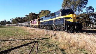 C501 Seymour Railway Heritage Centre [upl. by Ashlee430]