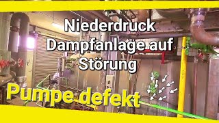 Niederdruck Dampfkessel Loos 7000kgh auf Störung  Doku [upl. by Namyl600]