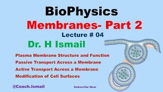 Membrane Transport in Biophysics  Active amp Bulk Transport Membrane Potential  Chapter 02 Part 02 [upl. by Clifford]