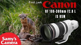 First Look At The Canon RF 100300mm F2 8 L IS USM Lens [upl. by Euqinobe]