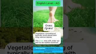 Grass facts Nature learnenglish englishspeaking vocabulary english Grass [upl. by Tanhya67]