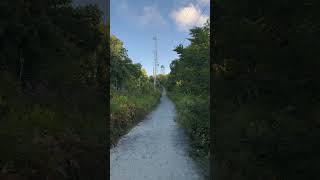 Frying Pan Fire Tower in Pisgah National Forest NC before Helene firetower [upl. by Ward602]