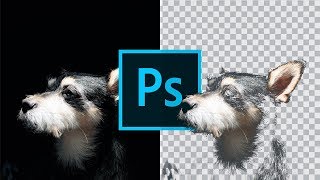 Tutorial Photoshop in Italiano come scontornare FACILMENTE il nero da una foto [upl. by Luapsemaj593]