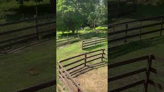 Hayloft view accidentalfarmer farming farmer  homesteading [upl. by Chobot247]