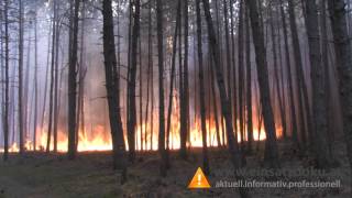 01082013 Waldbrand im Föhrenwald NK Tag1 [upl. by Ardis140]