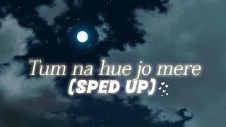 Tum na hue jo mere Sped up  Latest Hindi Songs 2024 Use Headphones [upl. by Rubma720]