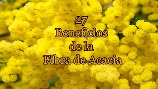 27 Beneficios de la Fibra de Acacia [upl. by Doubler]