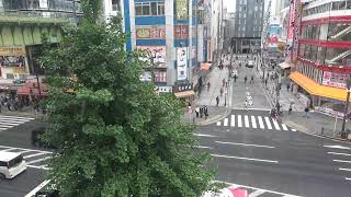 オノデンch【秋葉原ライブカメラ Akihabara live camera】 [upl. by Amiel]