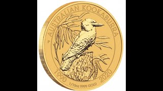 2020 110 Gold Kookaburra low mintage 1st ever Gold kookaburra Lets investigate [upl. by Selassie]