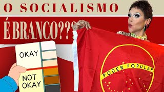 O Socialismo não é um conceito ocidental  ABC do Socialismo 08 [upl. by Hcirdeirf]