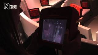 Augmented Reality at the Natural History Museum London [upl. by Eisnil]