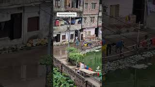 Pond life in Narayanganj [upl. by Anirual]